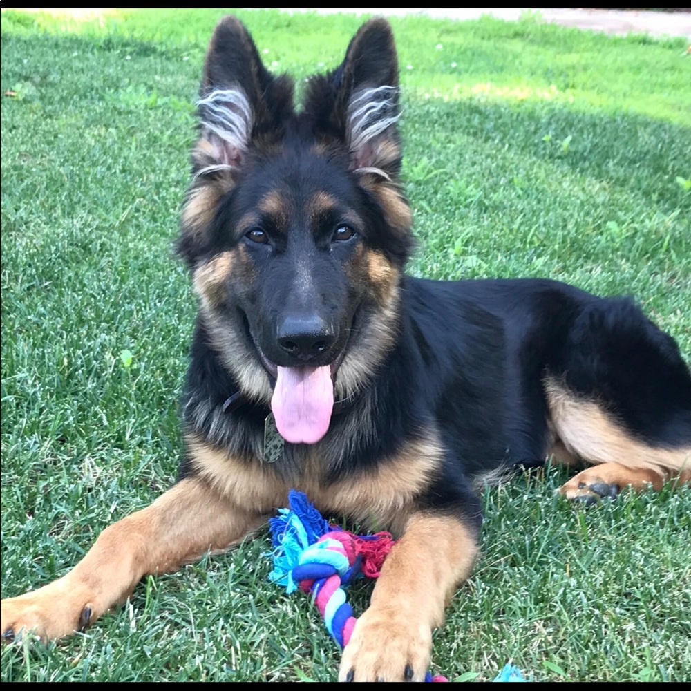 Meet your Posher, Meryl